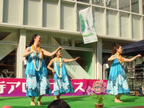 気持ち良い風が吹いてHawaiiのようでした。 気持ち良い風が吹いてHawaiiのようでした。